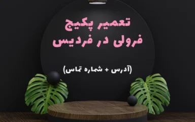 نمایندگی پکیج فرولی در فردیس